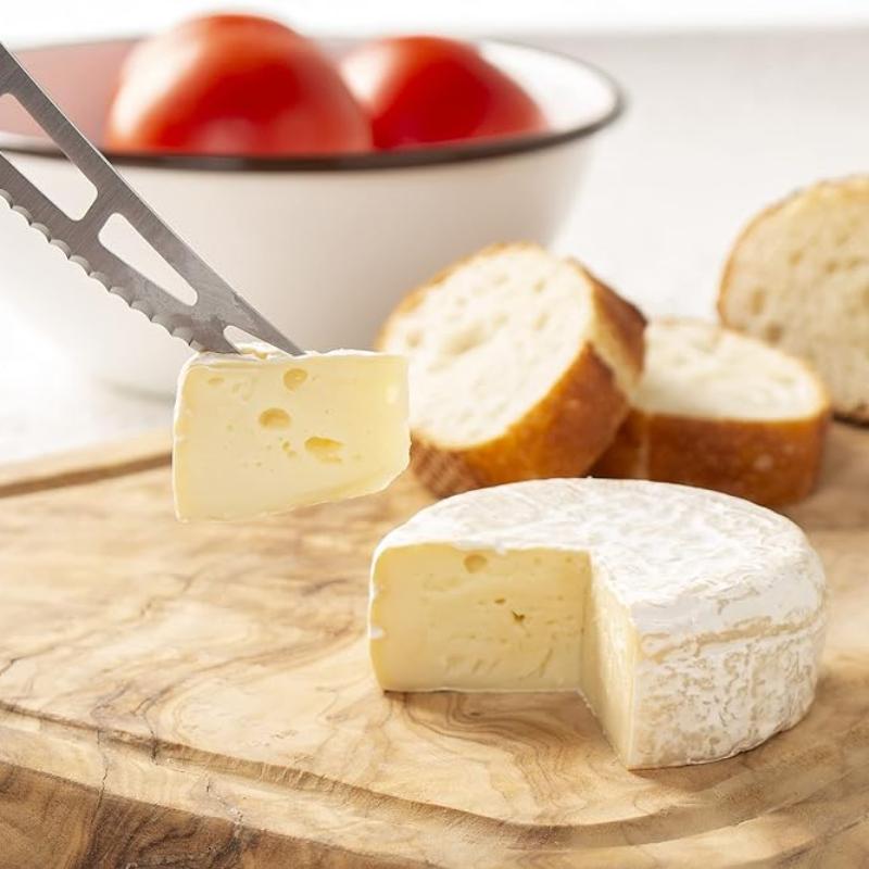 Victorinox Swiss Classic Butter and Cream Cheese Knife | Black