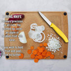 Victorinox  Straight Edge Paring Knife | Green, Pink, Yellow and Orange | 8 cm